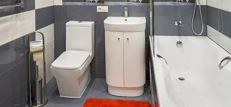 Hansgrohe Shaving Mirror Rosemead